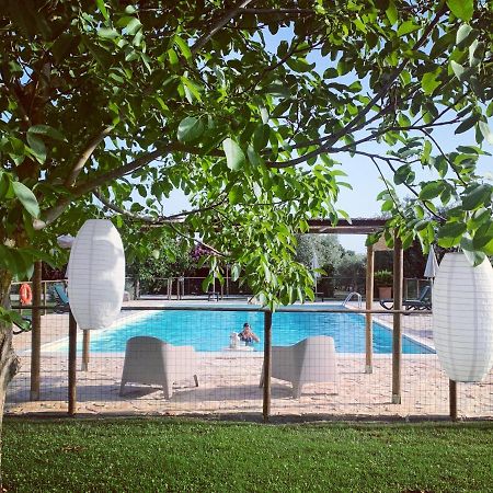 Agriturismo Il Puntoncino Marsiliana Ngoại thất bức ảnh