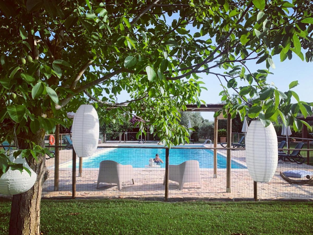 Agriturismo Il Puntoncino Marsiliana Ngoại thất bức ảnh