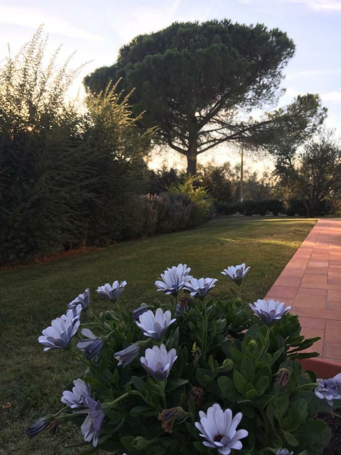 Agriturismo Il Puntoncino Marsiliana Ngoại thất bức ảnh