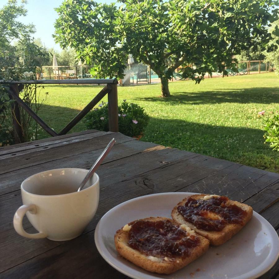 Agriturismo Il Puntoncino Marsiliana Ngoại thất bức ảnh